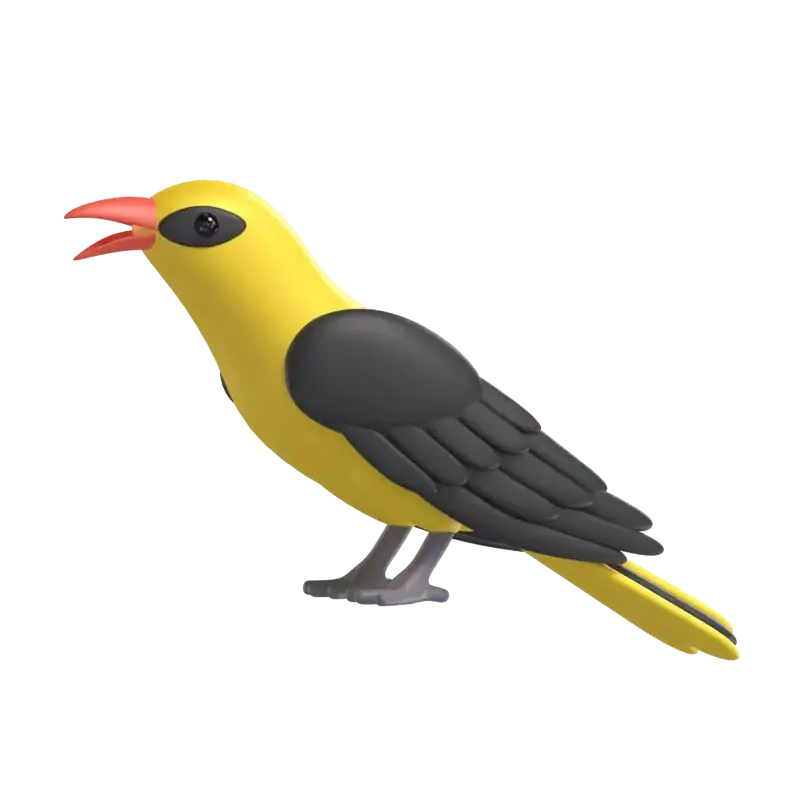 Indian Golden Oriole 3D Graphic