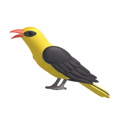 Indian Golden Oriole 3D Graphic