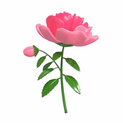 3D Camellia Flower Model With Blooming Flowers and Bud 3D Graphic