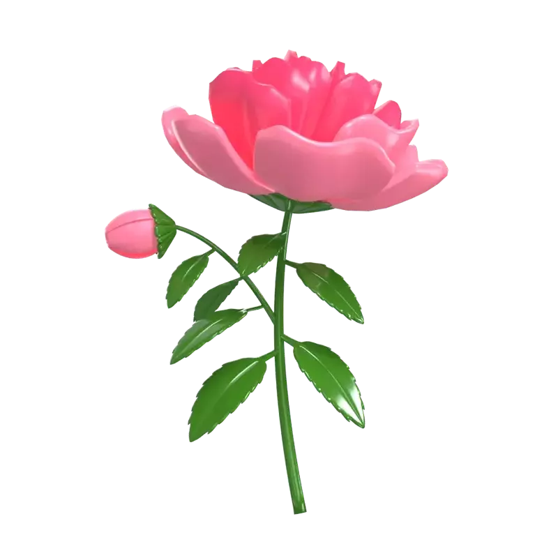 3D Camellia Flower Model With Blooming Flowers and Bud 3D Graphic