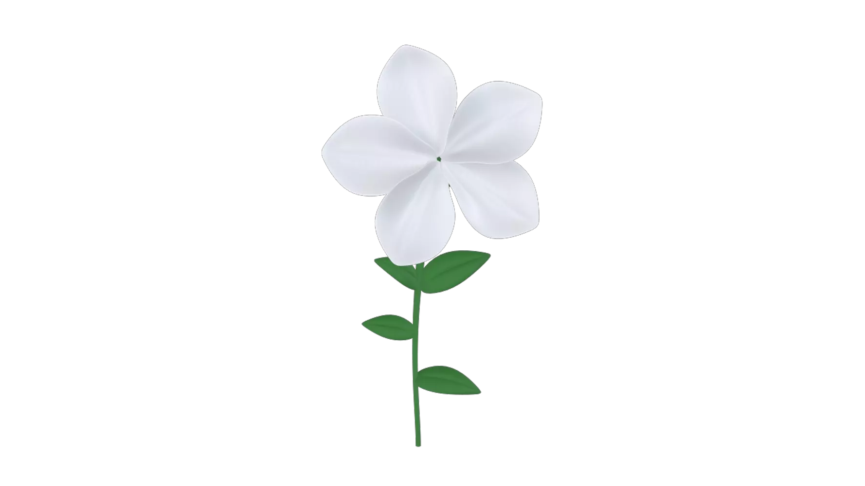 Manson Flower 3d model--fdf3c4e8-5fce-4afa-9e30-5da27e589bac