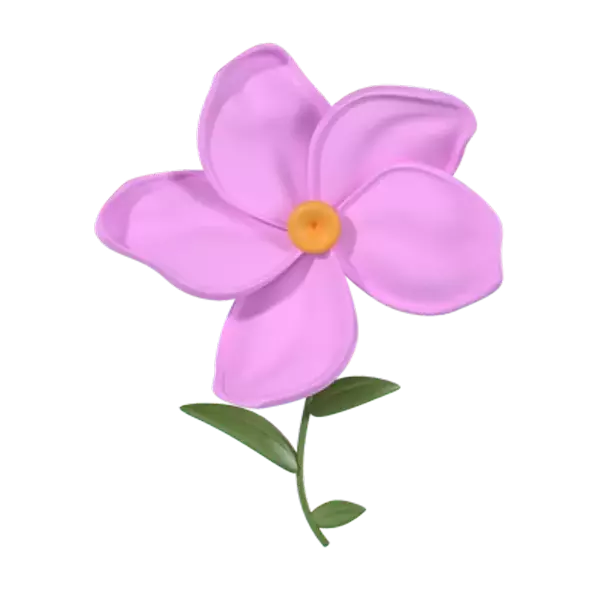 Plumeria 3D Graphic