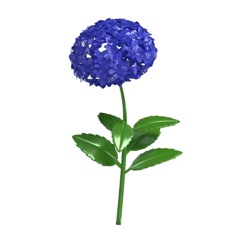 3D Hydrangea Model For Garden 3D Graphic