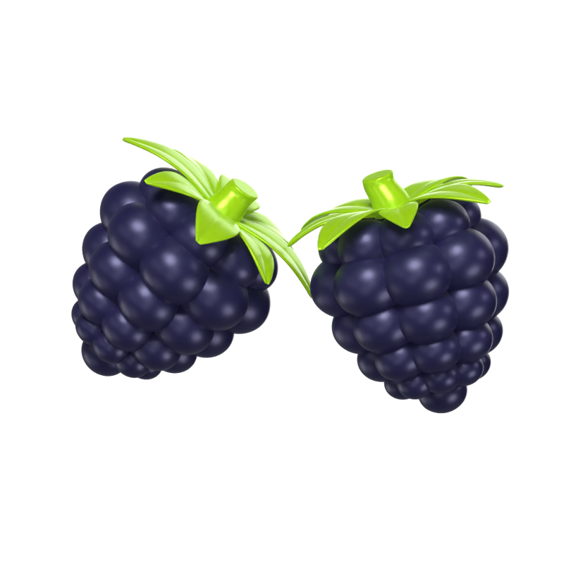 Two Blackberries 3D Fruit Model With Leaves On Them 3D Graphic