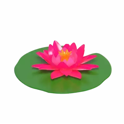 3D Water Lily Model Floating Beauty  Waters 3D Graphic
