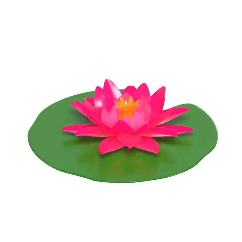 3D Water Lily Model Floating Beauty  Waters 3D Graphic