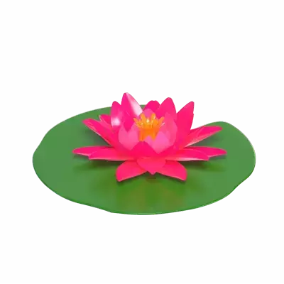 3D Seerose Modell schwimmende Schönheit Waters 3D Graphic