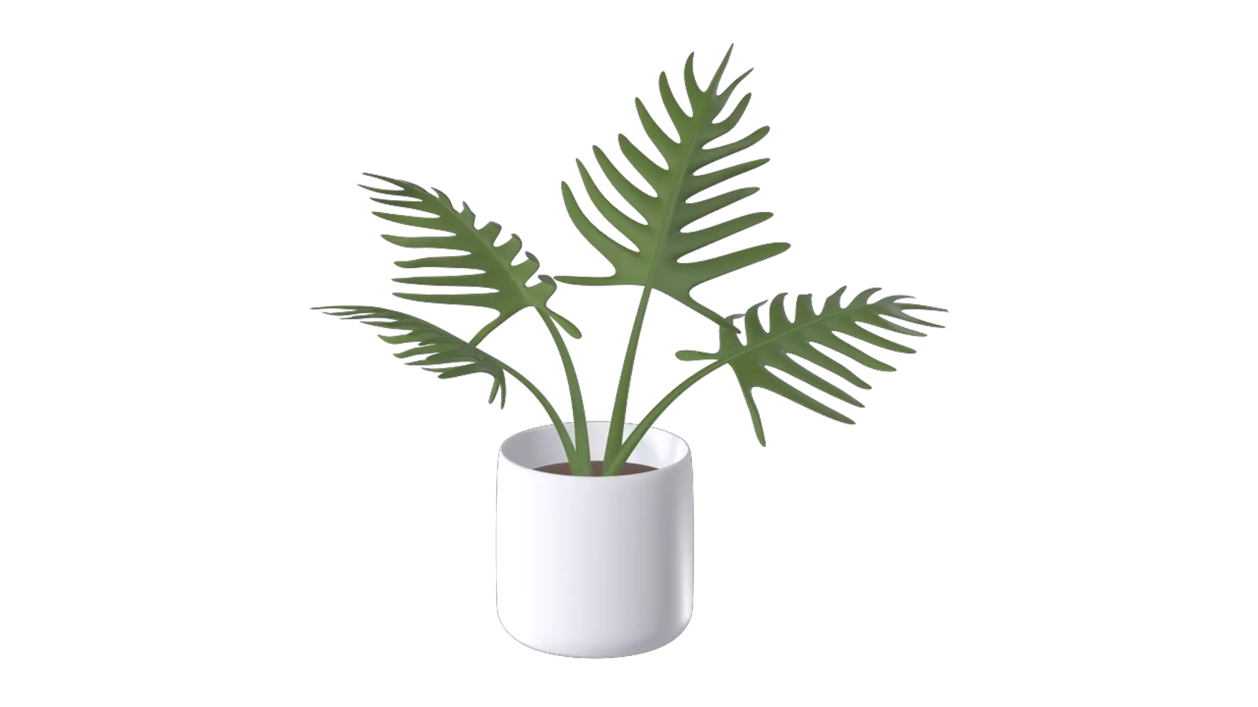 Philodendron With Pot 3d model--cf514079-e6b1-4d0f-8926-6392722b82f0