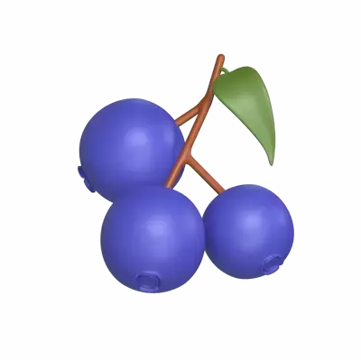 Blueberries 3D Graphic
