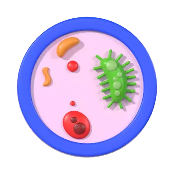 Bacteria 3D Graphic