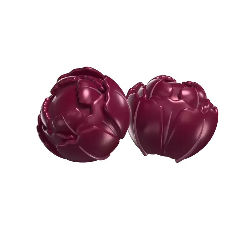 Two Red Cabbages 3D Model 3D Graphic