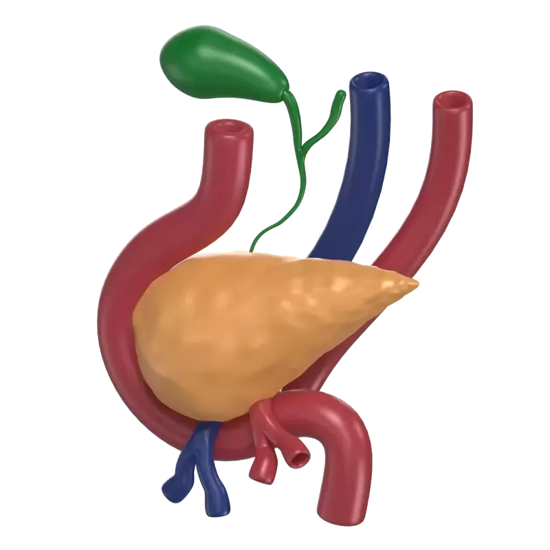 Erste Organtransplantation 3D Graphic