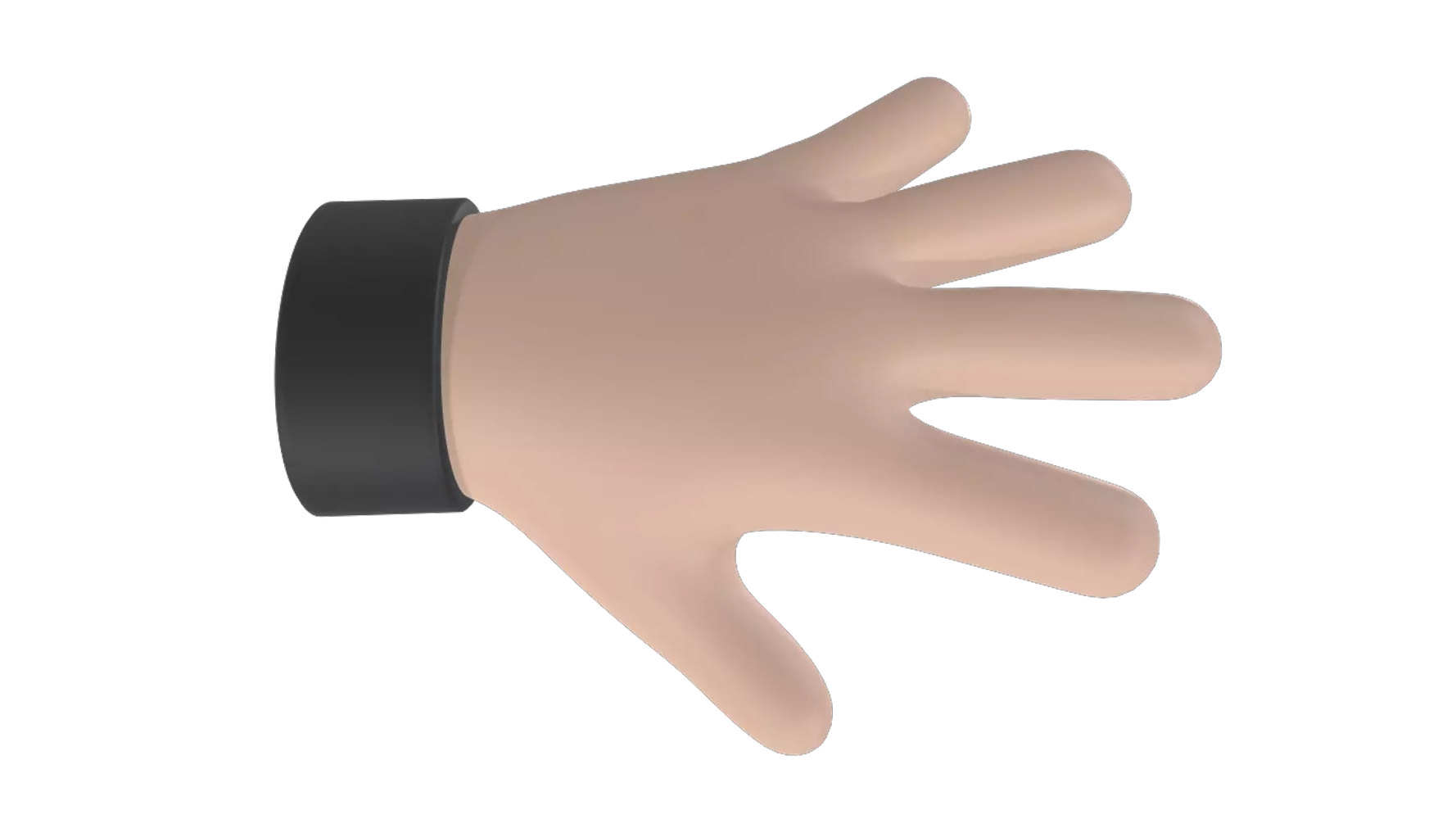 Left Rigged Hand 3D Graphic