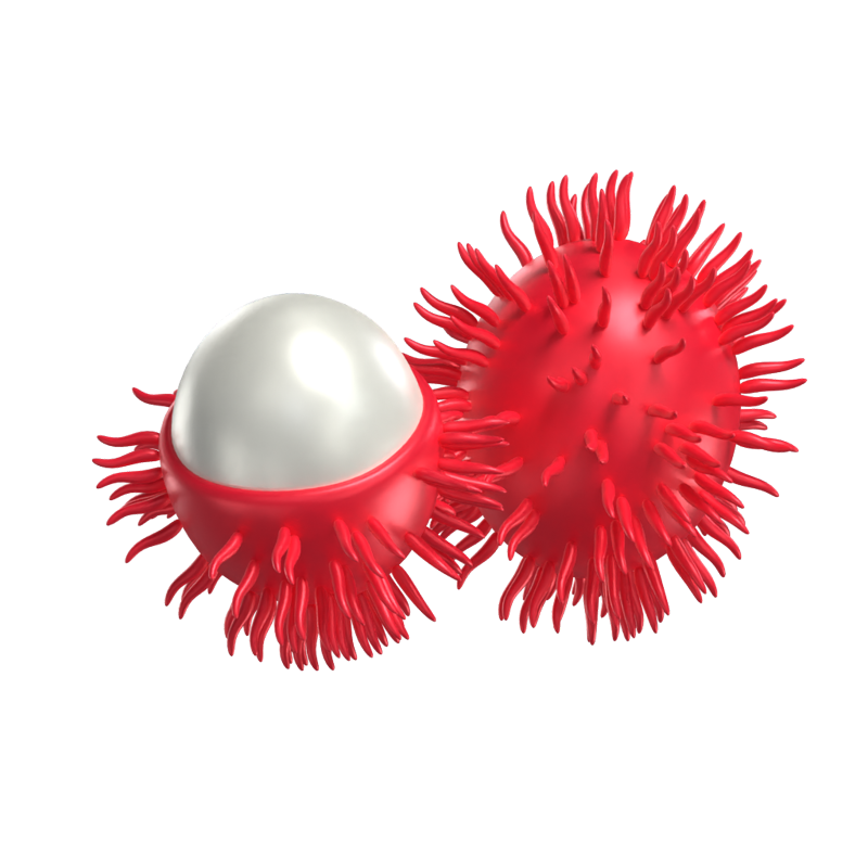 3D Rambutan Model Whole Fruit And A Pulp Exposed One 3D Graphic