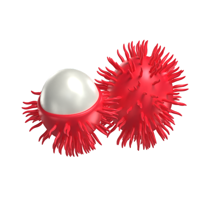 3D Rambutan Model Whole Fruit And A Pulp Exposed One 3D Graphic