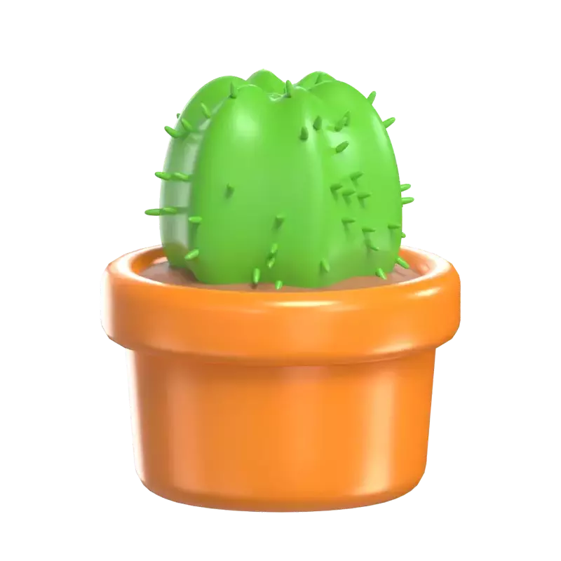 Maceta de cactus