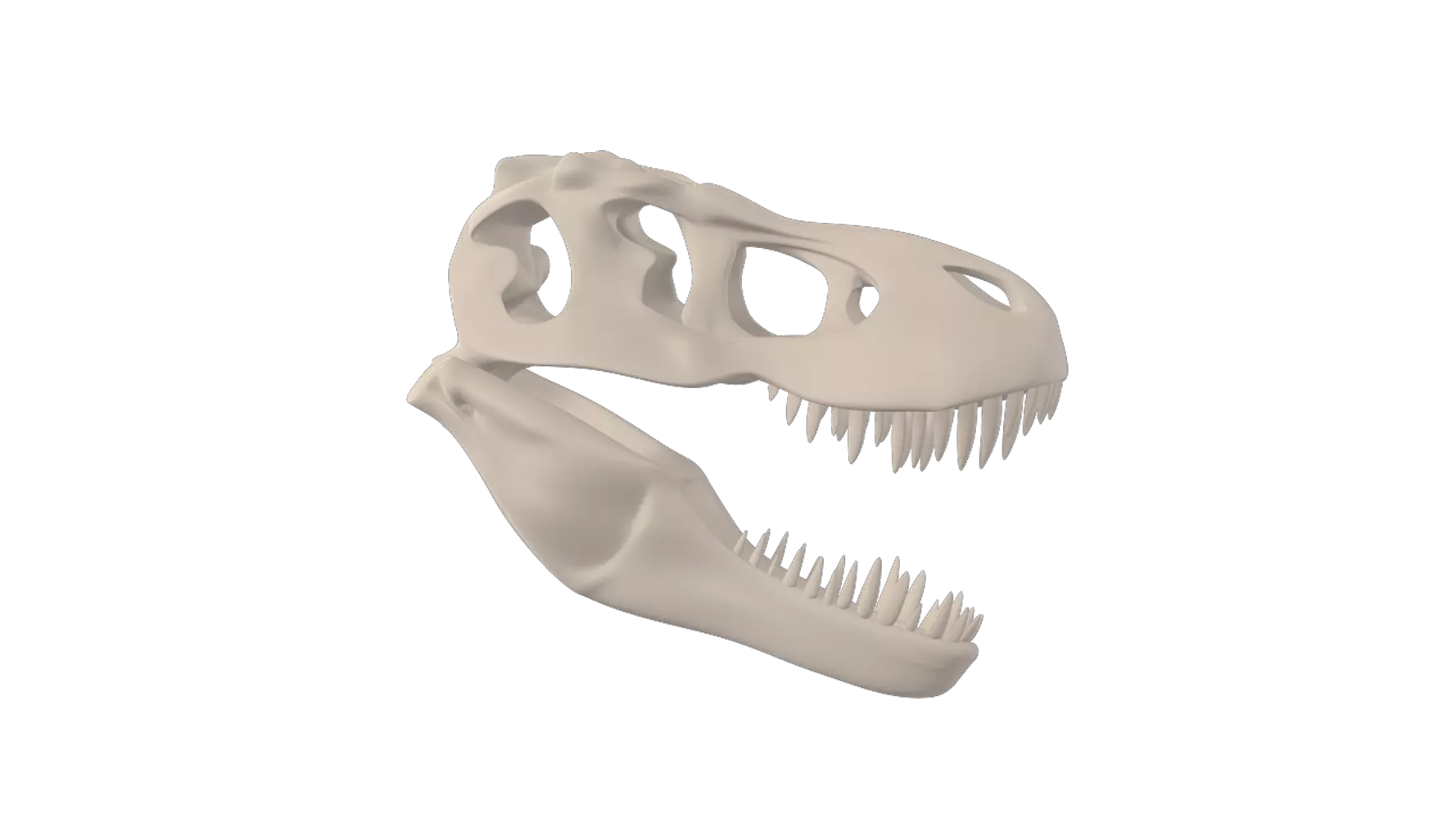 Dinosaur Skeleton 3D Graphic