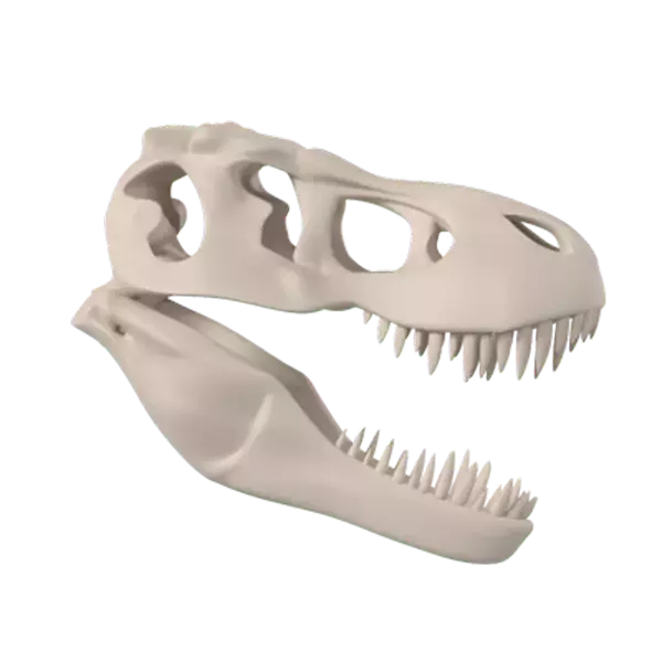 Dinosaur Skeleton 3d model--2f871828-ad0a-45dc-8278-4add5a8aafa8