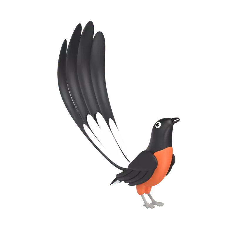 Magpie 3D Graphic