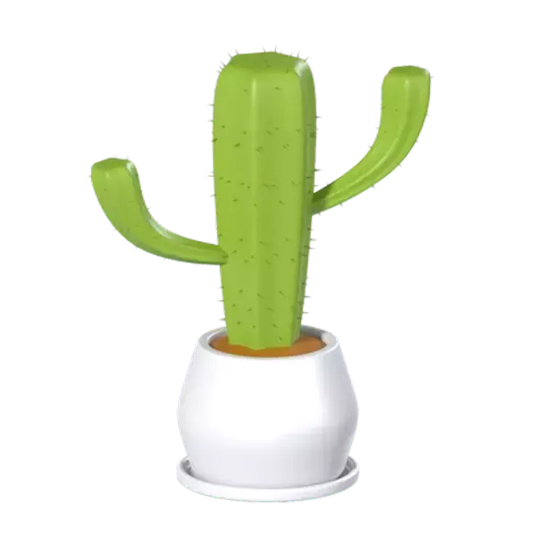 Cactus Cereus