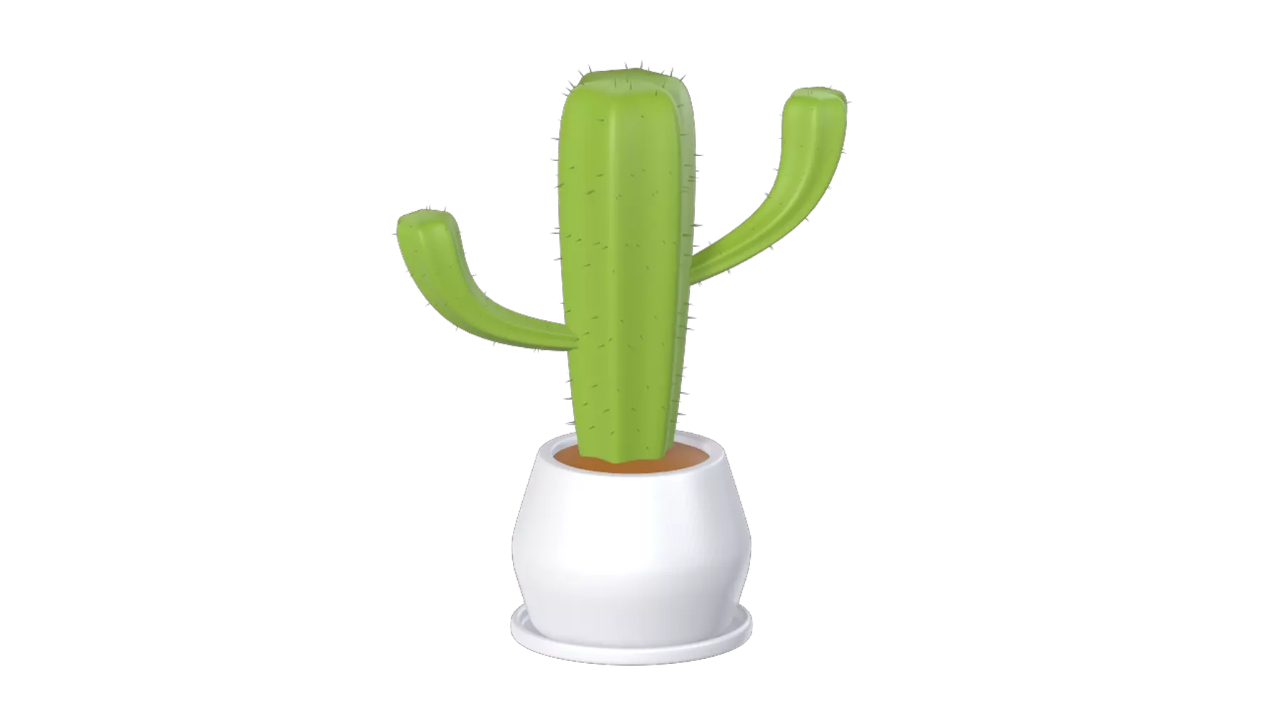 Cereus Cactus Plant 3D Graphic