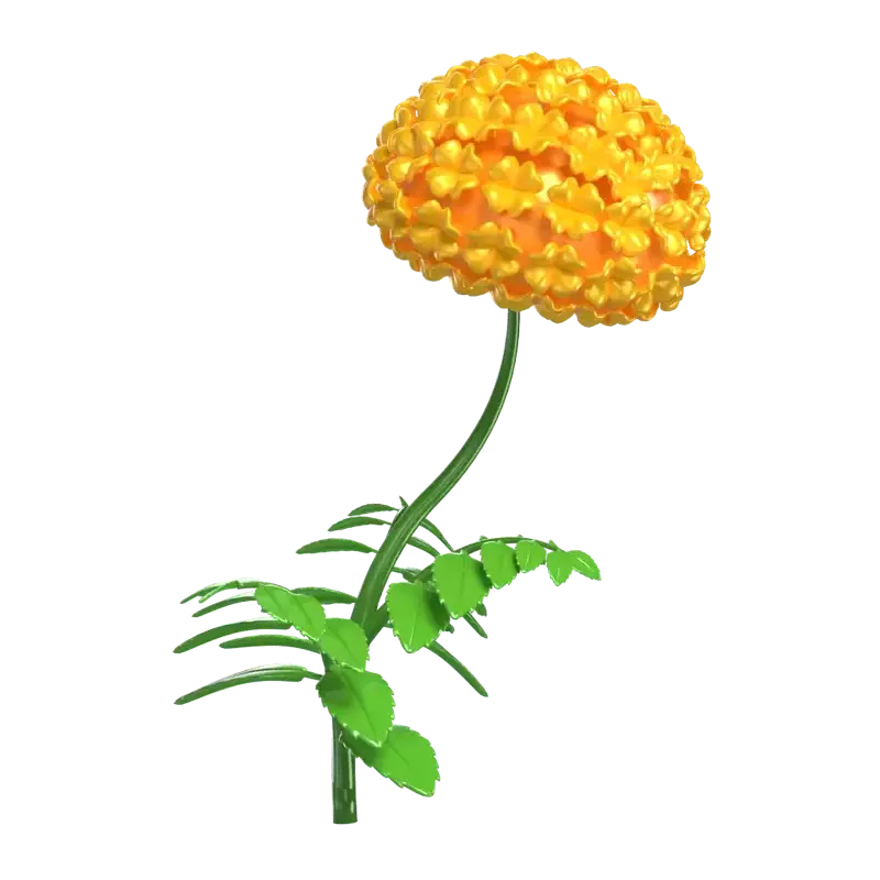 3D Marigold Flower Model With Vibrant Yellow Bloom 3D Graphic