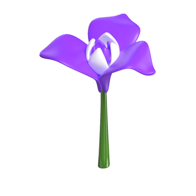 3D Iris Cute Purple A  Floral Showcase Of Elegance And Charm 3D Graphic