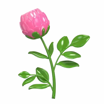 3D Model Peony Blossom Petal Beauty 3D Graphic