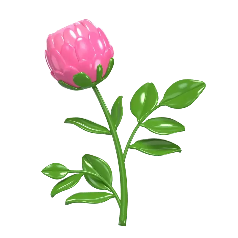 3D Model Peony Blossom Petal Beauty 3D Graphic