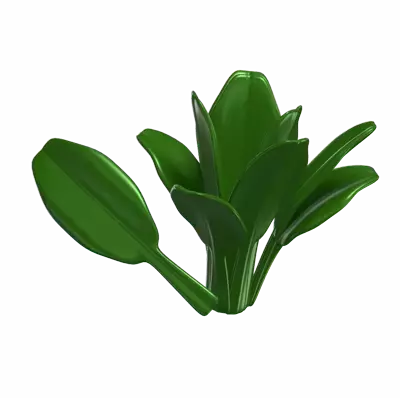 3D Spinach Model With Loose Leave 3D Graphic