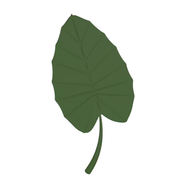 Elephant Ear 3D Graphic