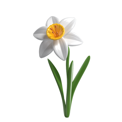 3D Narcissus Cute Delightful Floral Elegance 3D Graphic