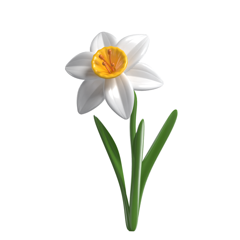 3D Narcissus Cute Delightful Floral Elegance 3D Graphic