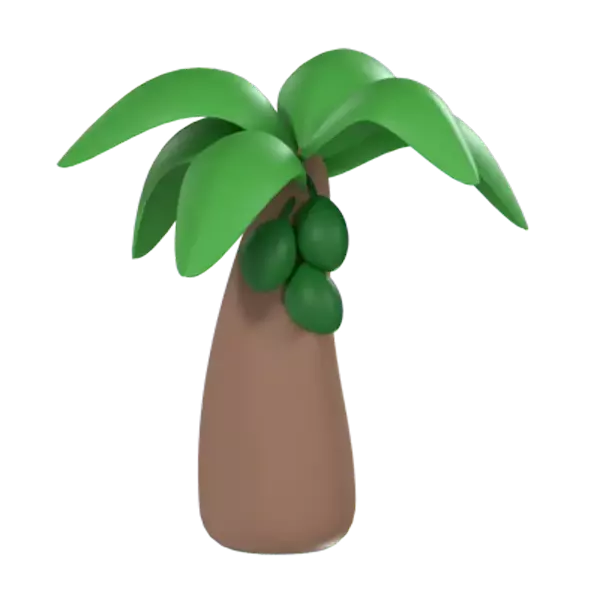 Cocotero 3D Graphic