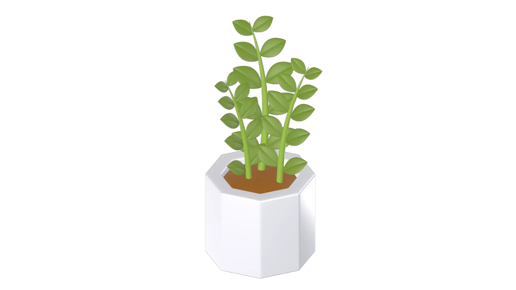 Zamioculcas Zamiifolia Plant 3D Graphic