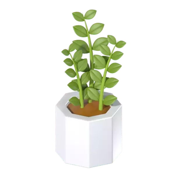 Zamioculcas Zamiifolia Plant 3d model--0be10755-baa9-41aa-936c-e91bec1ad093