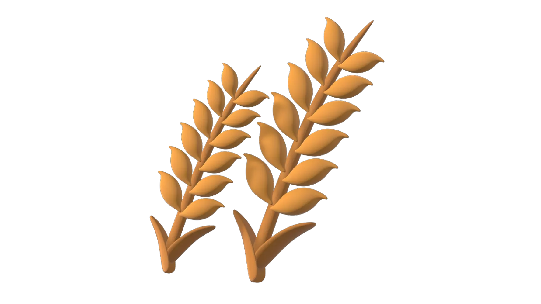 Wheat Plant 3D Graphic