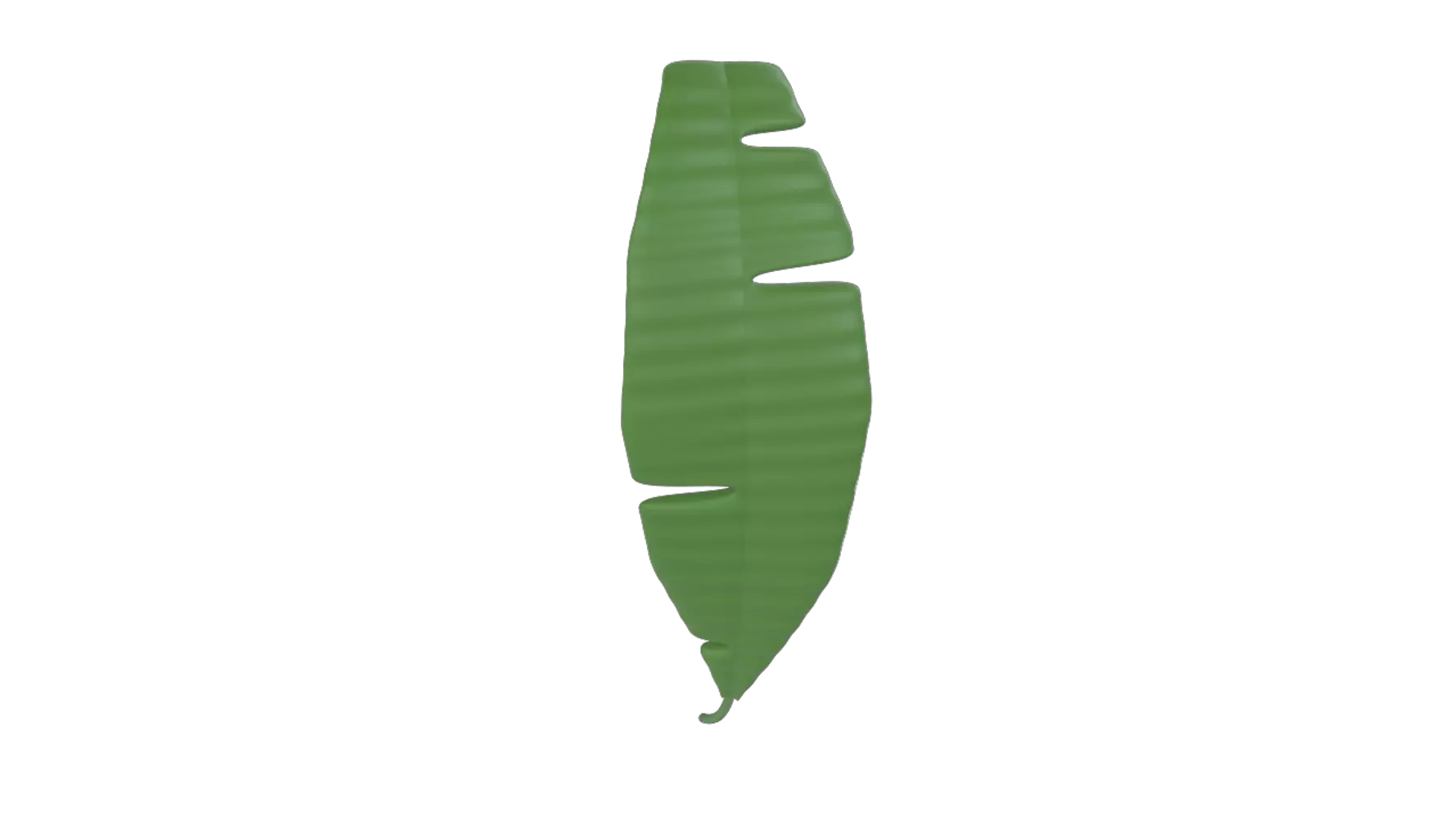 Banana Leaf 3D Graphic