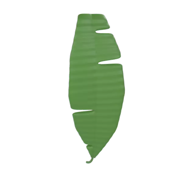 Banana Leaf 3D Graphic