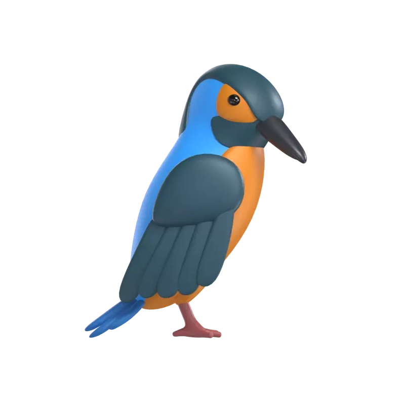 Kingfisher 3D Graphic