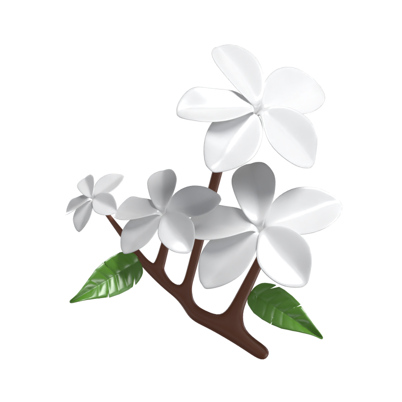 3D Frangipani Lindo Belleza Floral Tropical 3D Graphic