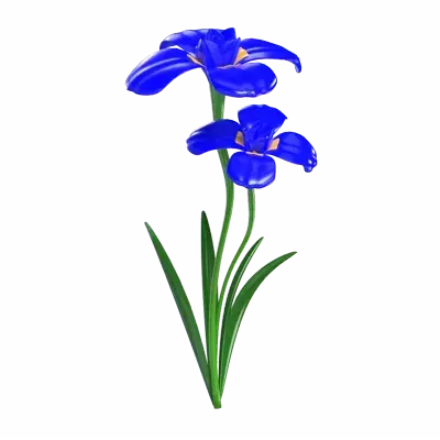 Blue Iris Flower 3D Model 3D Graphic