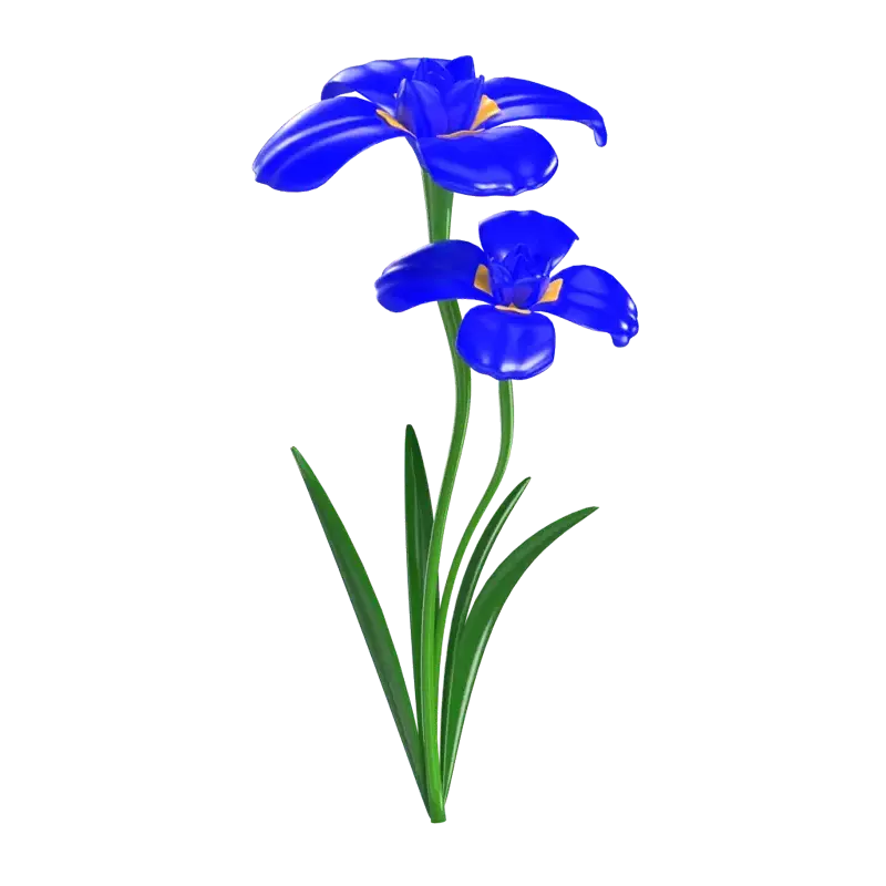 Blue Iris Flower 3D Model 3D Graphic