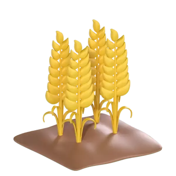 Wheat Plant 3D Graphic