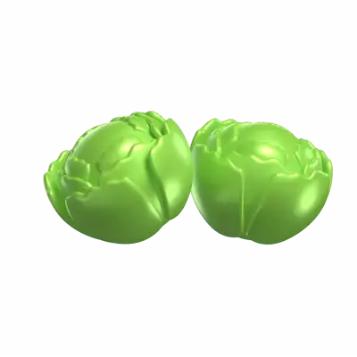 Two Cabbage Pieces 3D Model 3D Graphic