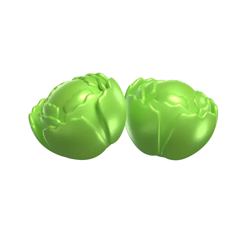 Two Cabbage Pieces 3D Model 3D Graphic