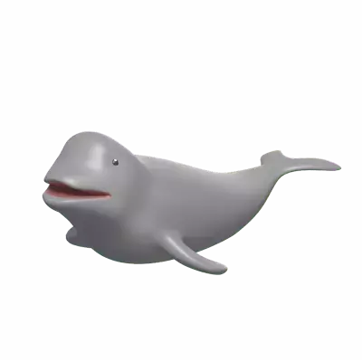 Beluga 3D Graphic