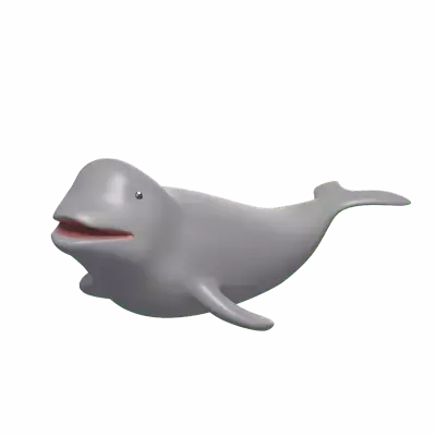 Beluga Whale 3D Graphic