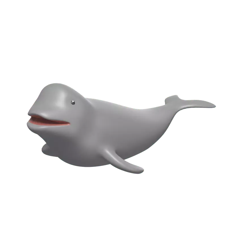 Beluga Whale 3D Graphic