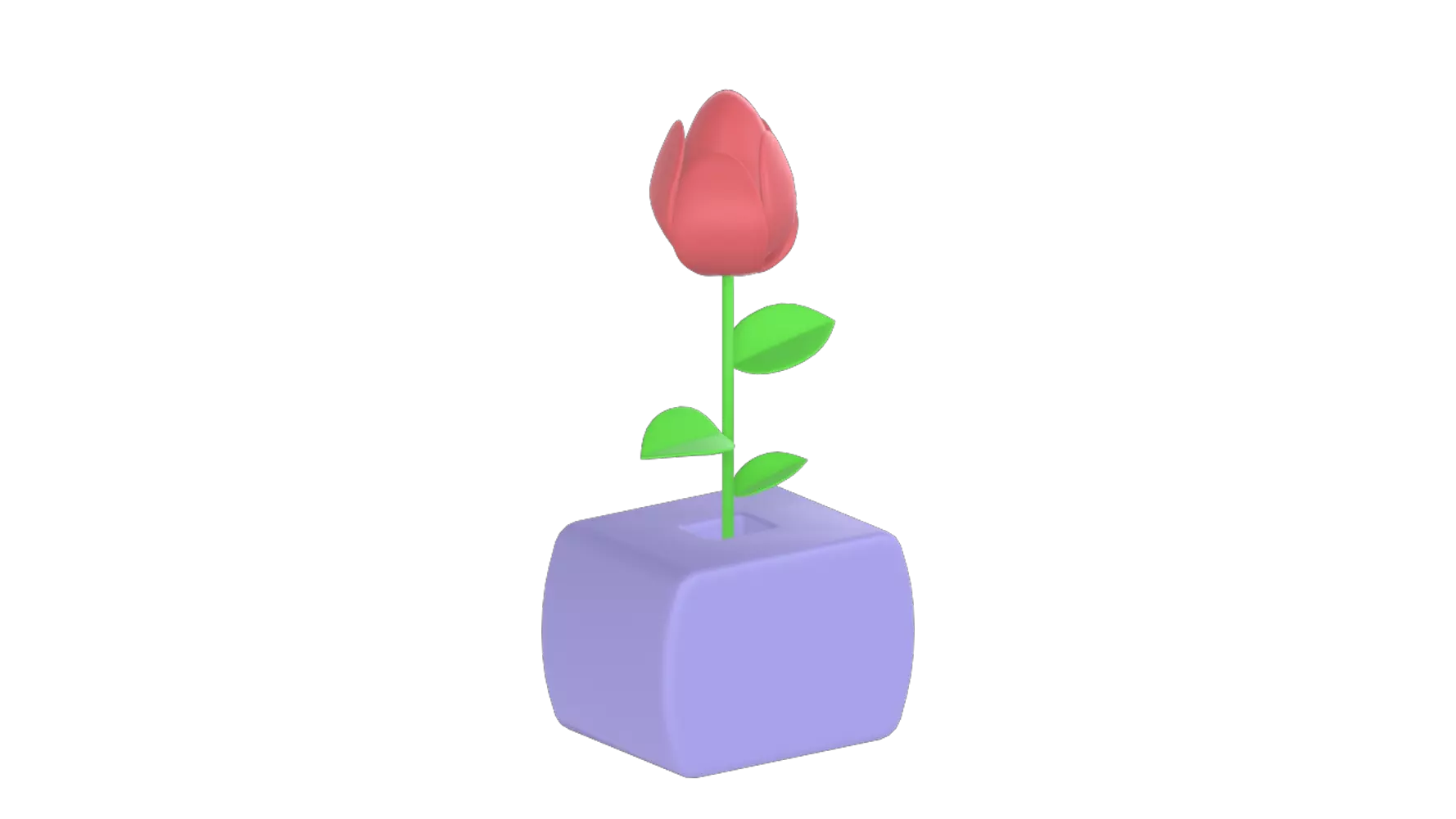 Rose 3D Graphic